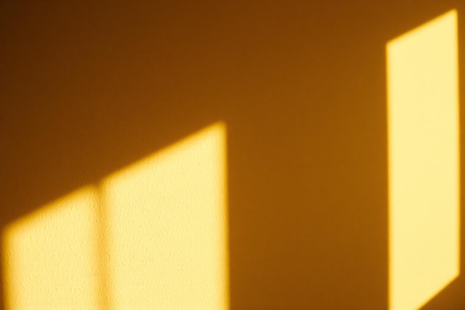 Warm afternoon light falling on a textured wall